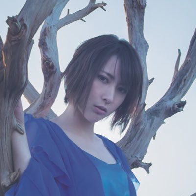 藍井エイル Utaite Database